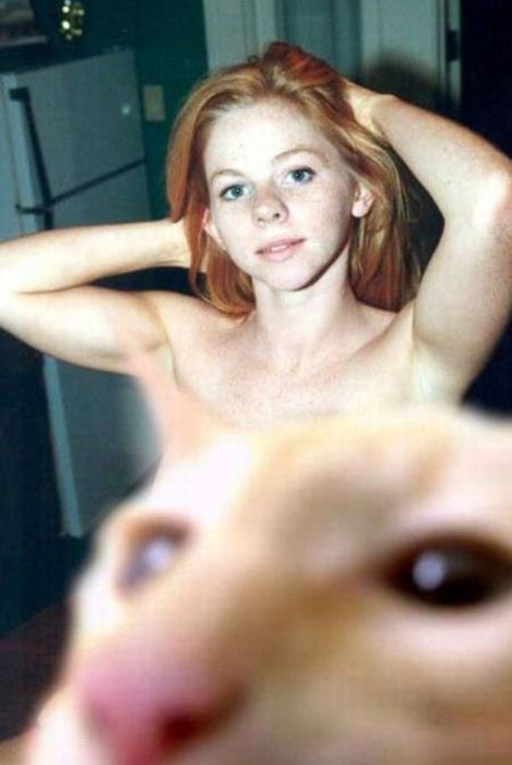 Animal Photobombers (35 pics)