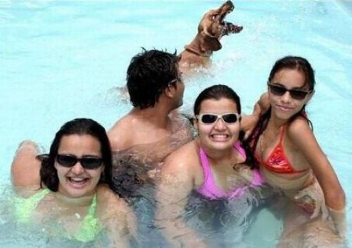 Animal Photobombers (35 pics)