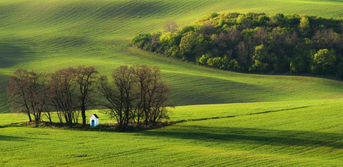 Stunning Landscape Photos (42 pics)