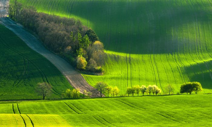 Stunning Landscape Photos (42 pics)