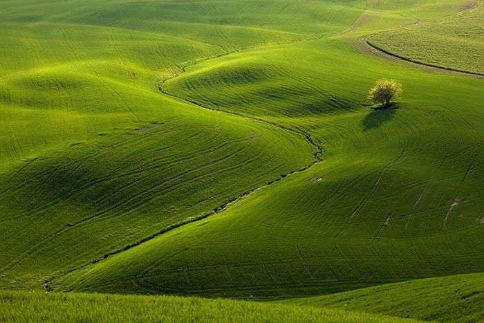 Stunning Landscape Photos (42 pics)