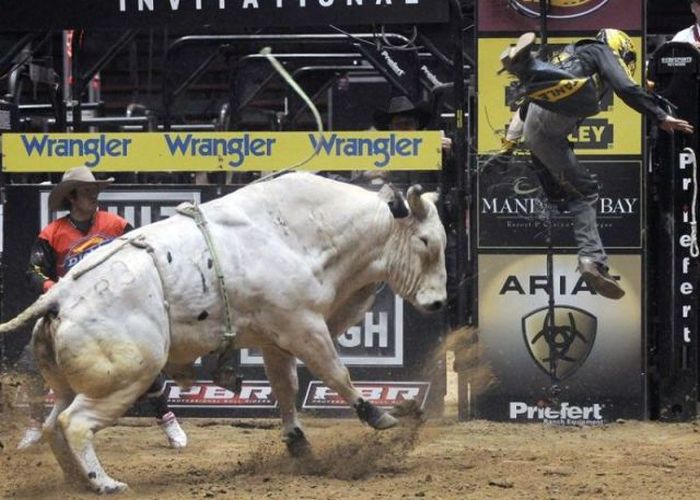 Perfectly Timed Sports Photos (37 pics)