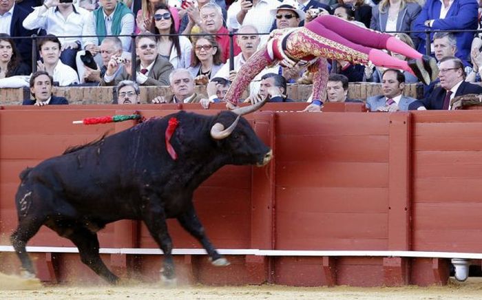 Perfectly Timed Sports Photos (37 pics)