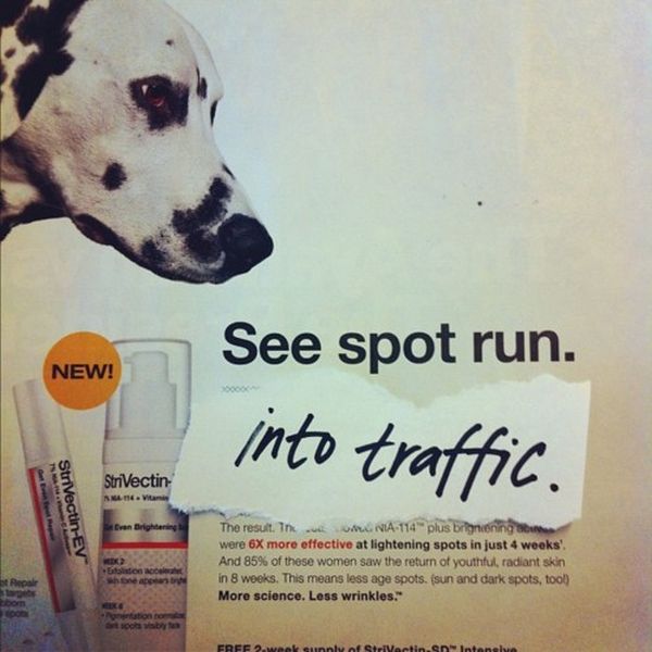 Depressed Copywriter (39 pics)