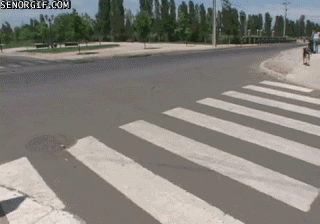 Acid Gifdump (25 gifs)