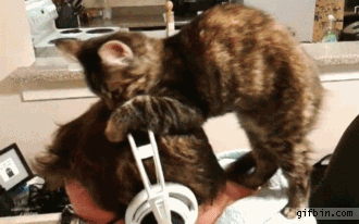 Acid Gifdump (25 gifs)
