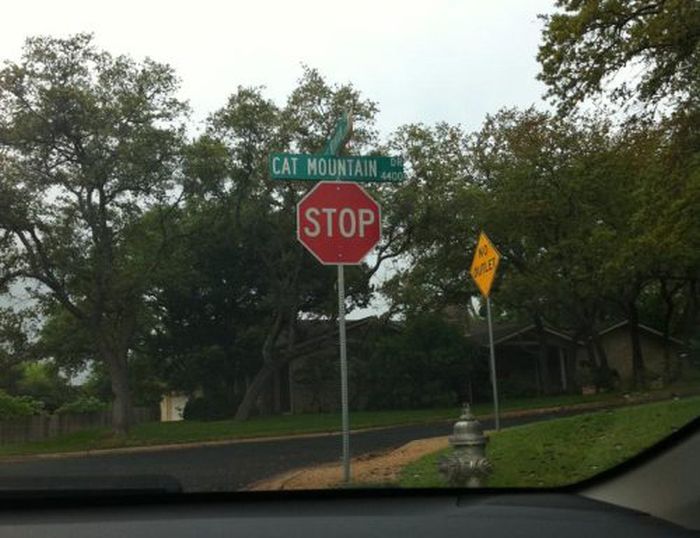 WTF Signs. Part 24 (36 pics)
