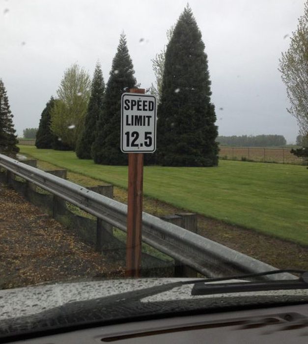 WTF Signs. Part 24 (36 pics)