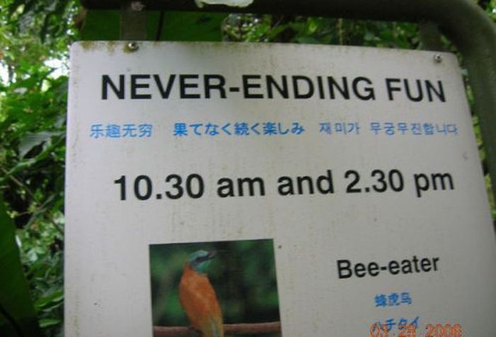 WTF Signs. Part 24 (36 pics)