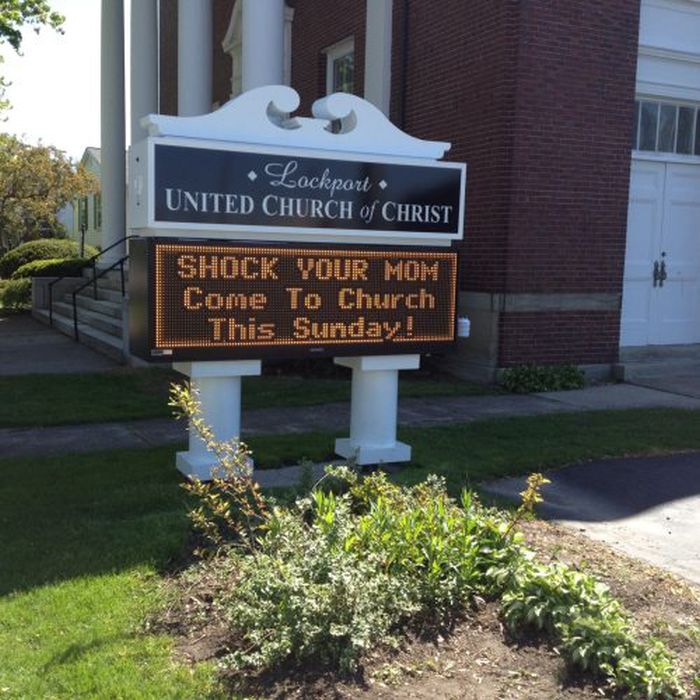 WTF Signs. Part 24 (36 pics)