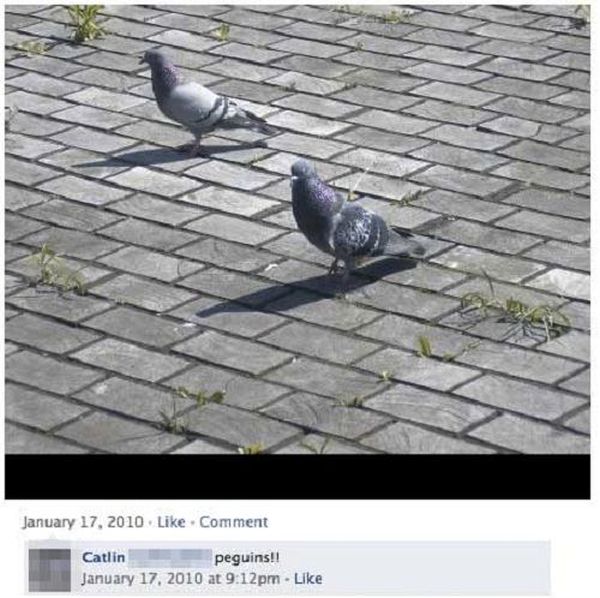 Stupid Facebook Moments (26 pics)