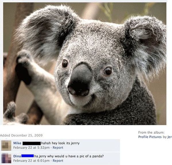 Stupid Facebook Moments (26 pics)