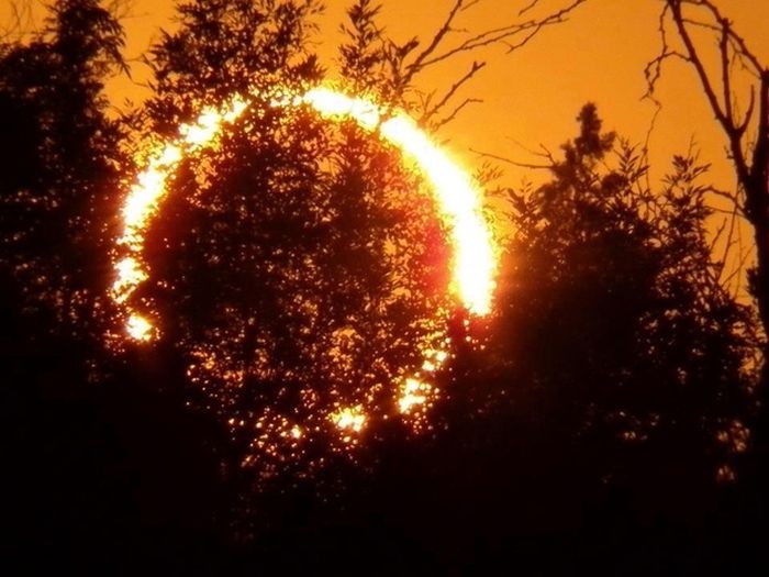 Beautiful Photos Of The Solar Eclipse (50 pics)