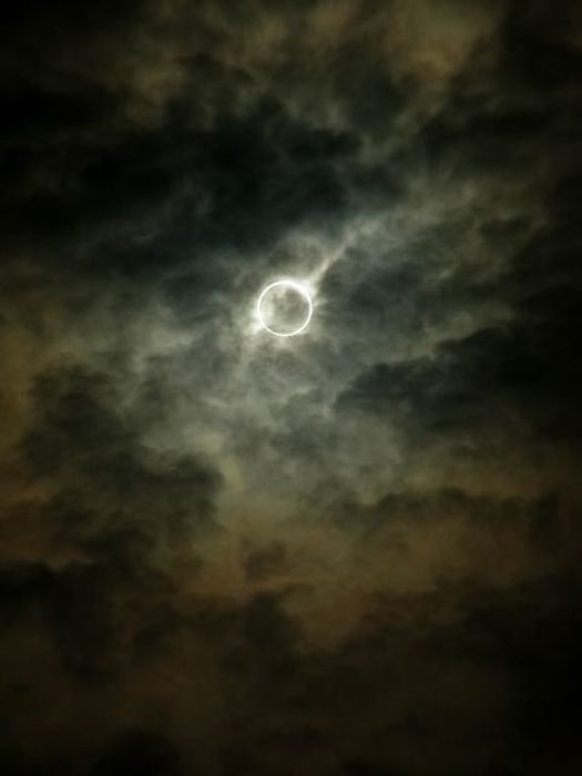 Beautiful Photos Of The Solar Eclipse (50 pics)