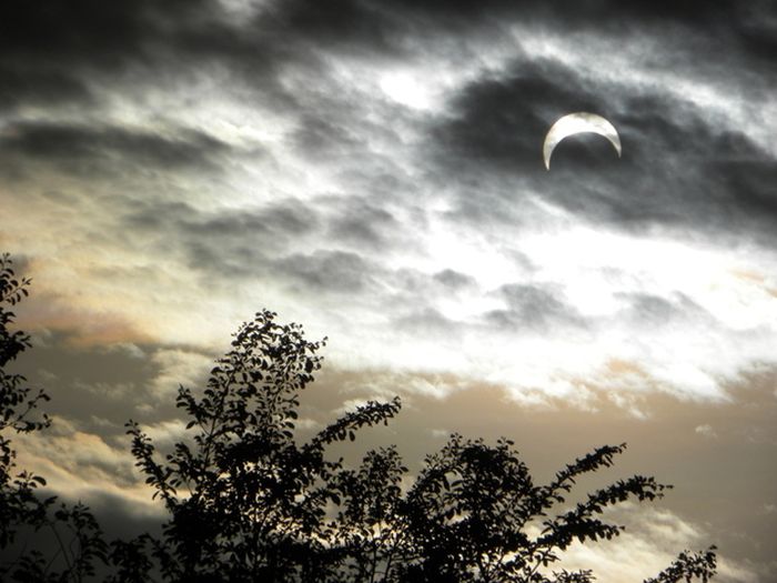 Beautiful Photos Of The Solar Eclipse (50 pics)