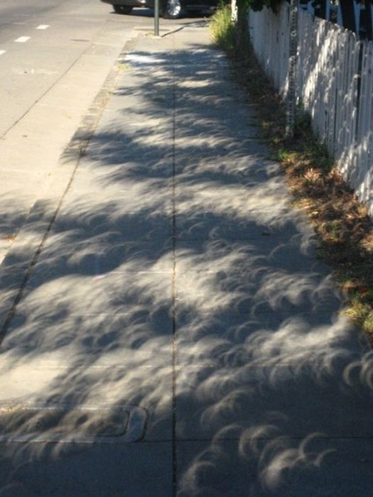 Beautiful Photos Of The Solar Eclipse (50 pics)