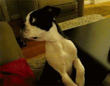 Did It Ever Happen to You When... Part 11 (18 gifs)