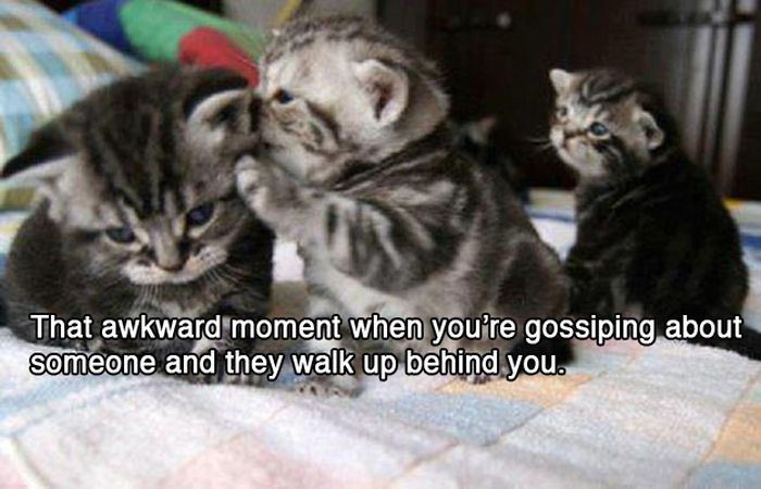 Awkward Moments (15 pics)