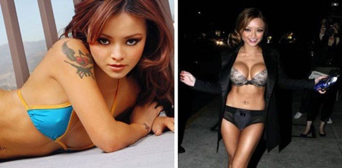 Celebs with Fake Breasts (14 pics)