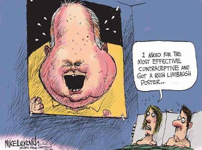 Best Political Cartoons of 2012 (88 pics)
