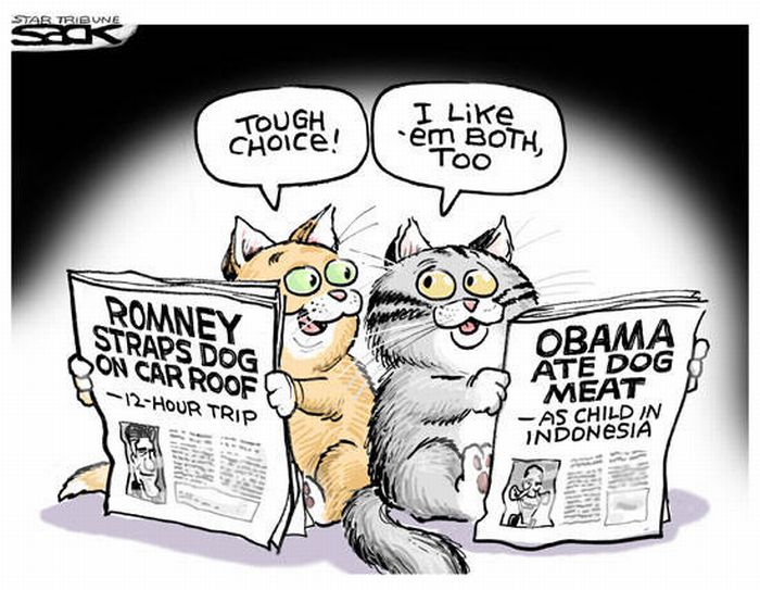 Best Political Cartoons of 2012 (88 pics)