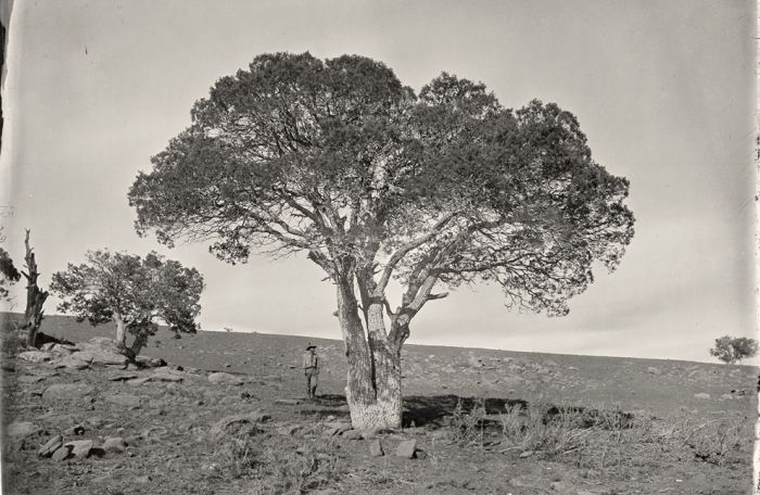 The American West, 150 Years Ago (34 pics)