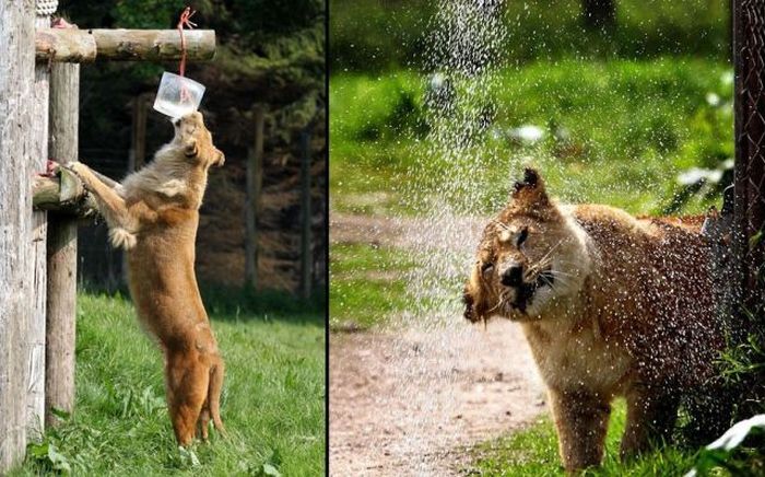 Acid Picdump (169 pics)