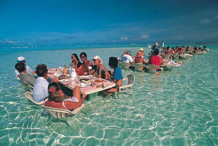 Acid Picdump (169 pics)