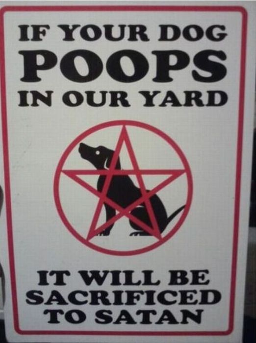 Acid Picdump (169 pics)