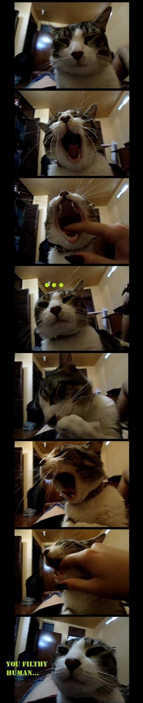 Acid Picdump (169 pics)