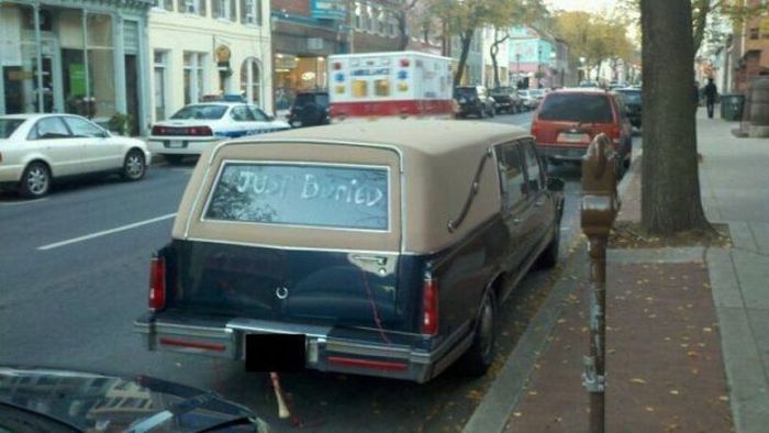 Acid Picdump (169 pics)