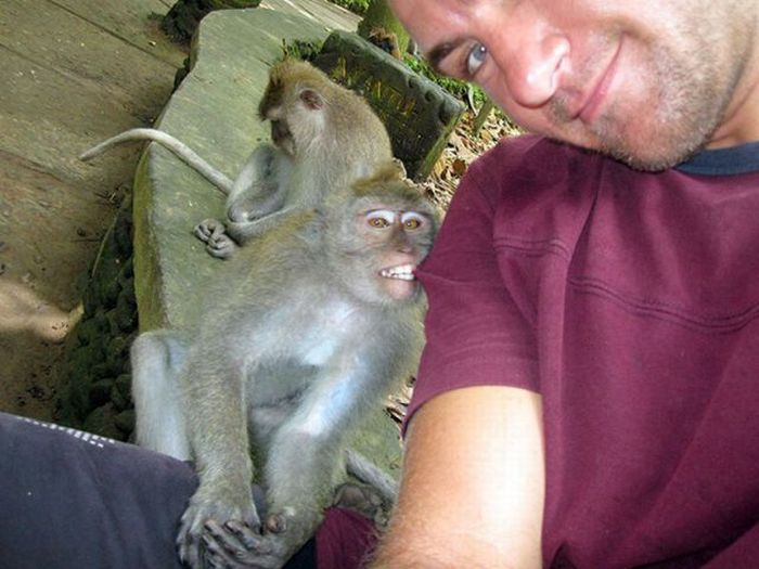 Acid Picdump (169 pics)