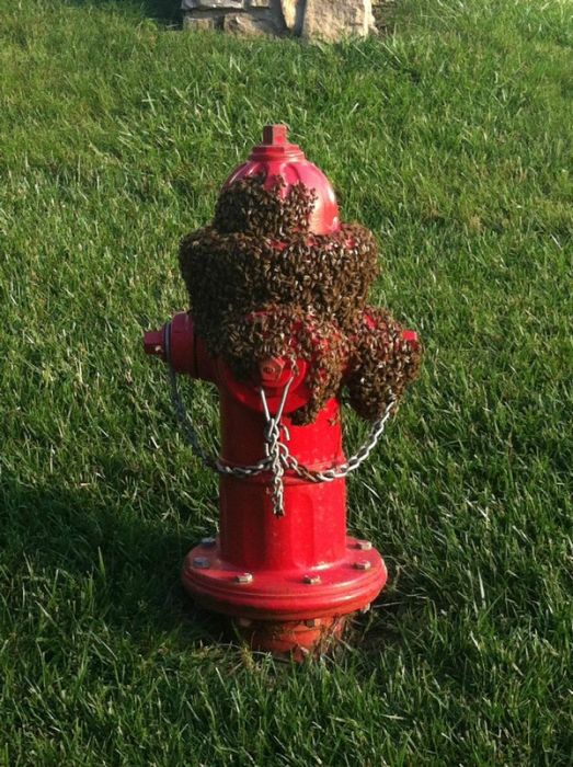 Acid Picdump (169 pics)