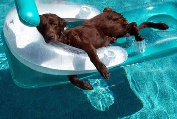 Acid Picdump (169 pics)