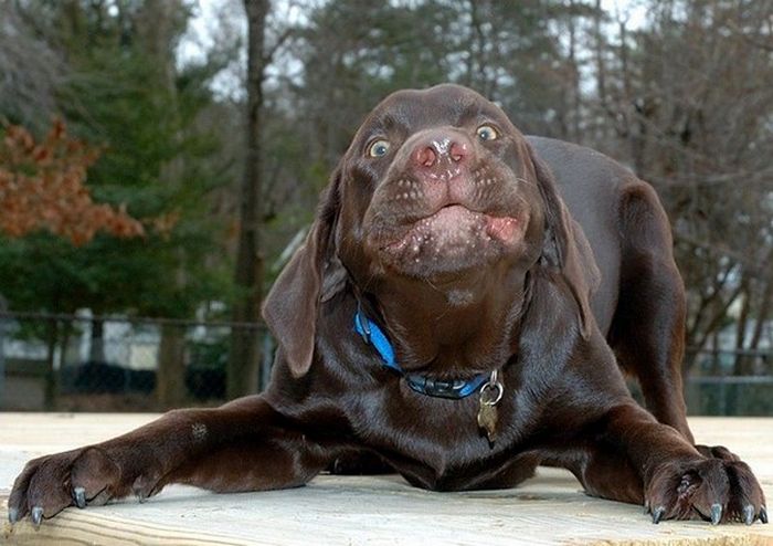 Acid Picdump (169 pics)