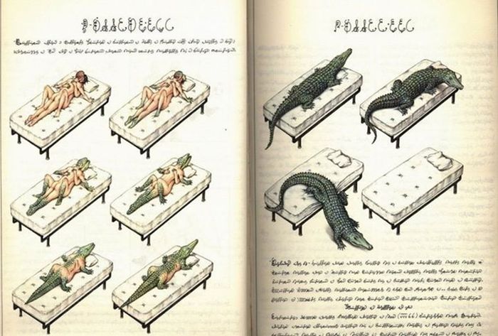 Acid Picdump (169 pics)