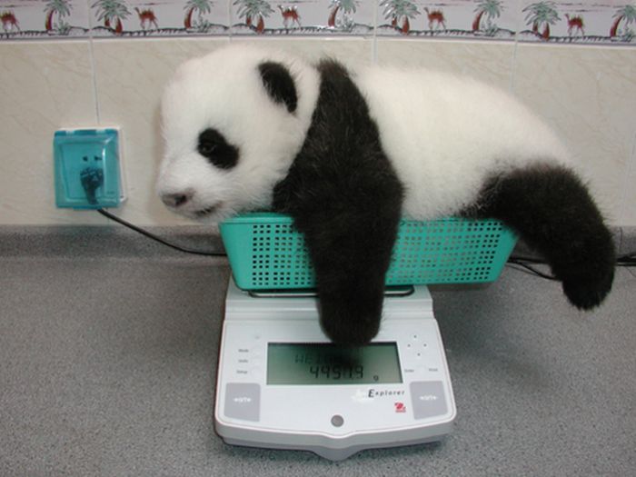 Acid Picdump (169 pics)
