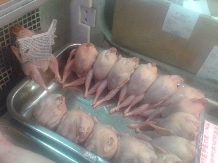Acid Picdump (169 pics)