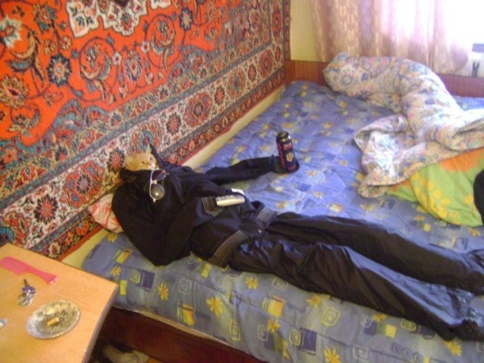 Acid Picdump (169 pics)