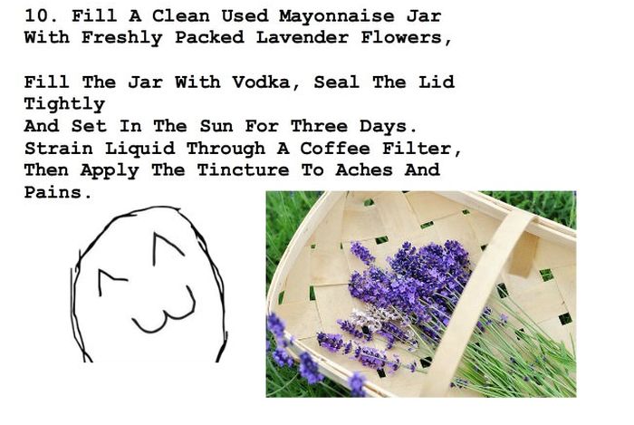 Unusual Ways To Use Vodka (17 pics)