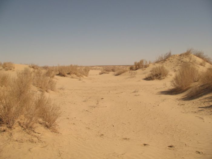 Abandoned Ships of Dead Aral Sea (22 pics)
