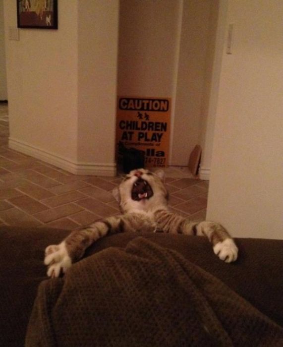 Acid Picdump (91 pics)