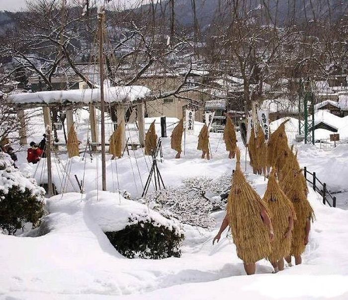 Acid Picdump (91 pics)