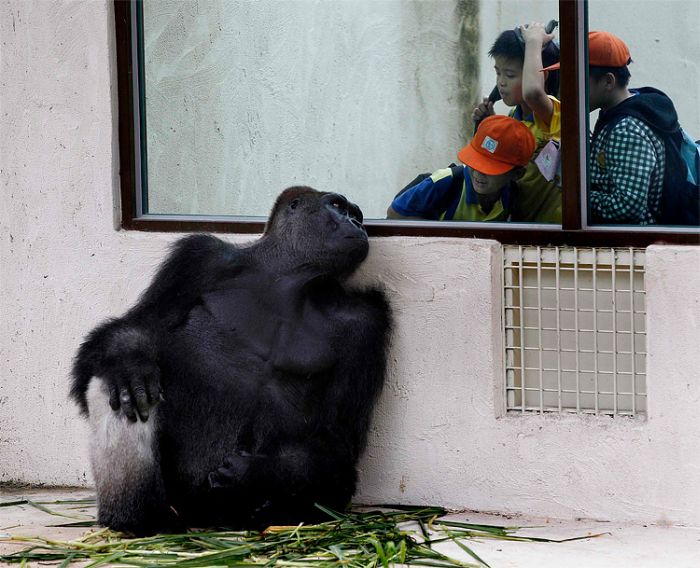 Acid Picdump (91 pics)