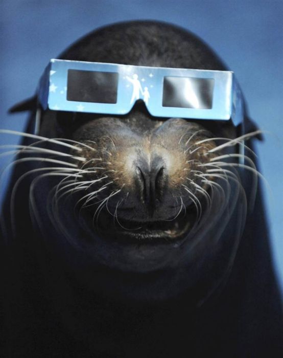 Acid Picdump (91 pics)