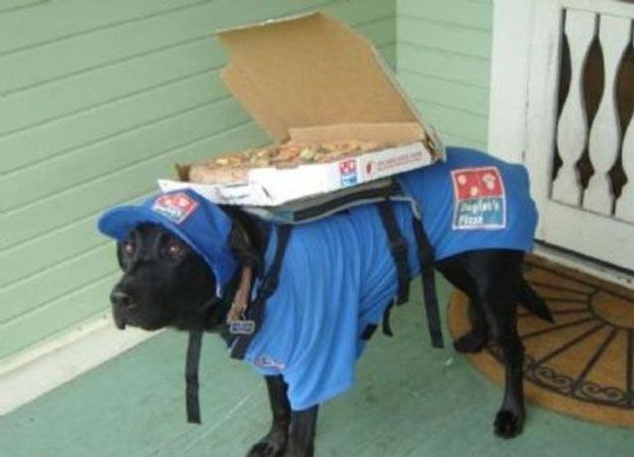Acid Picdump (91 pics)