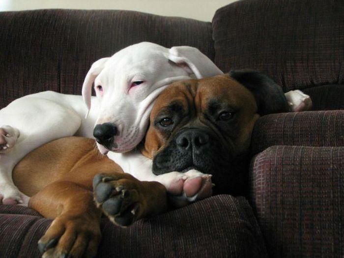 Acid Picdump (91 pics)