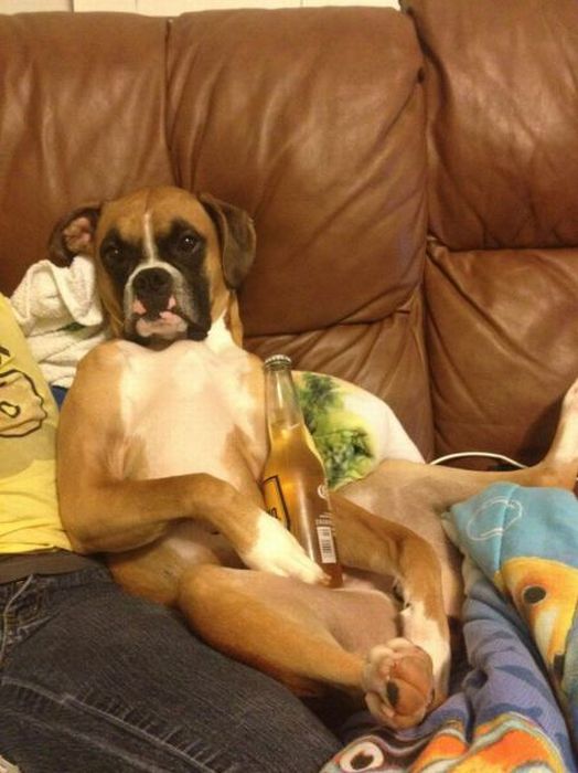 Acid Picdump (91 pics)