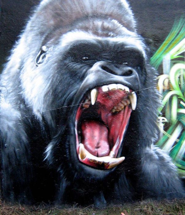 Street Art by SmugOne (24 pics)