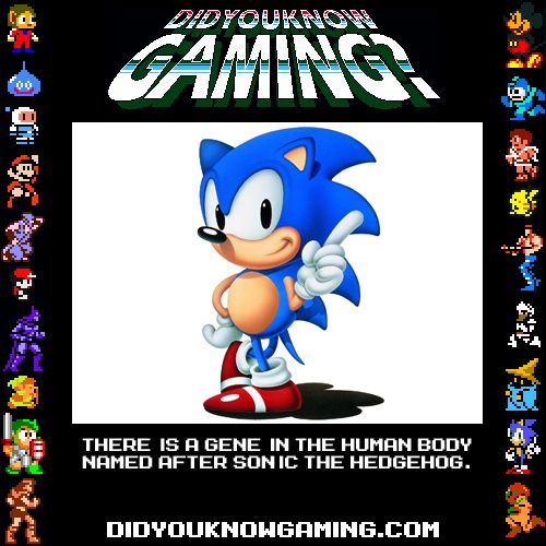 Very Interesting Gaming Facts 20 Pics 